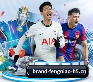 蜂鸟电竞的方向 - Fengniaoesports