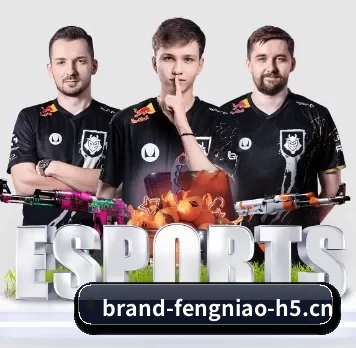 蜂鸟电竞 APP - Fengniaoesports